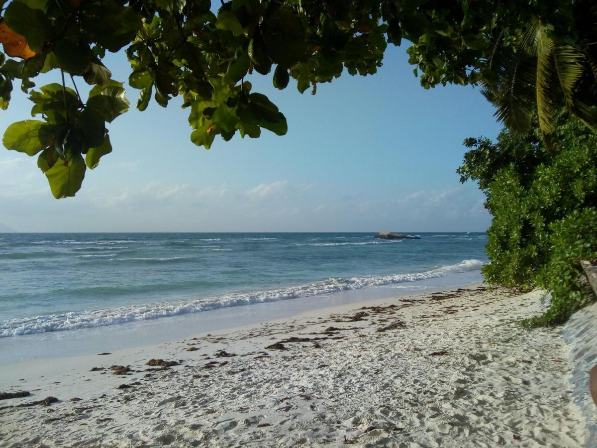 Corner Bay Apartments Beau Vallon,Mahe Виктория Екстериор снимка